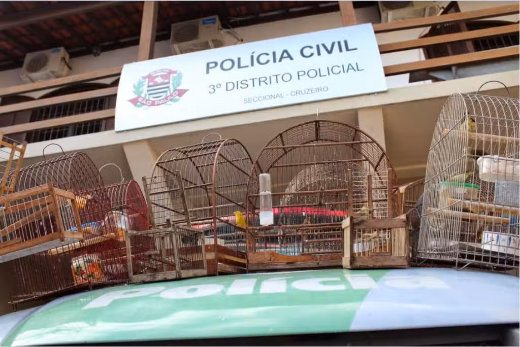 policia 01