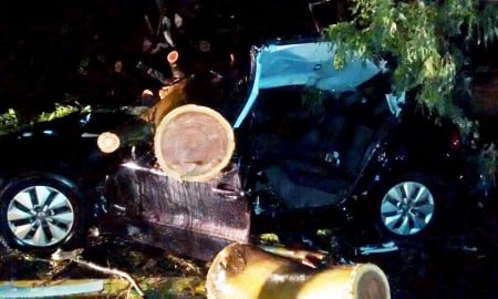 Árvore cai sobre carro e deixa duas pessoas feridas em Guaratinguetá