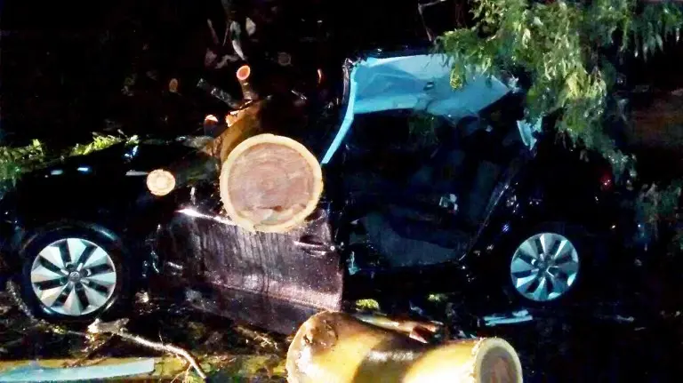 Árvore cai sobre carro e deixa duas pessoas feridas em Guaratinguetá