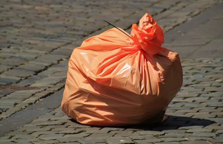 Segundo dia sem coleta de lixo em Cachoeira Paulista nesta quarta-feira (20/01)