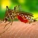 Taubaté registra primeiro caso de zika vírus em 2016