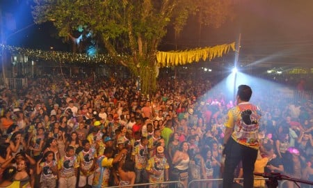Confira fotos do Carnaval em São José do Barreiro