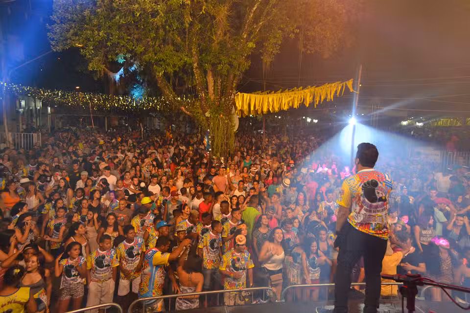 Confira fotos do Carnaval em São José do Barreiro