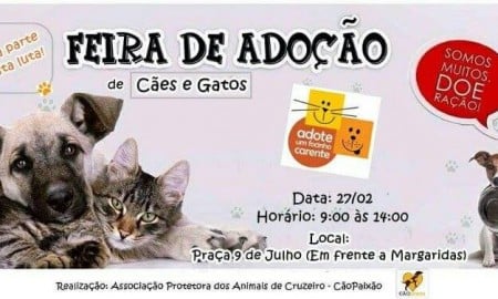 Neste sábado acontece Feira de Adoção em Cruzeiro