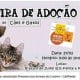 Neste sábado acontece Feira de Adoção em Cruzeiro