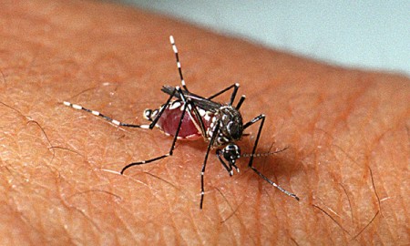 Suspeita de morte por dengue é investigada em Resende/RJ