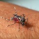 Suspeita de morte por dengue é investigada em Resende/RJ