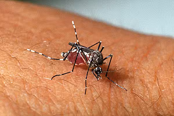 Suspeita de morte por dengue é investigada em Resende/RJ