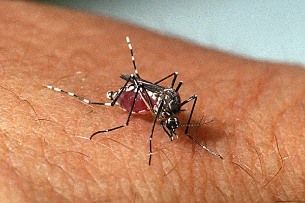Suspeita de morte por dengue é investigada em Resende/RJ