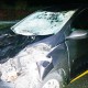 Acidente: carro bate em égua na 3ª Ponte em Cruzeiro