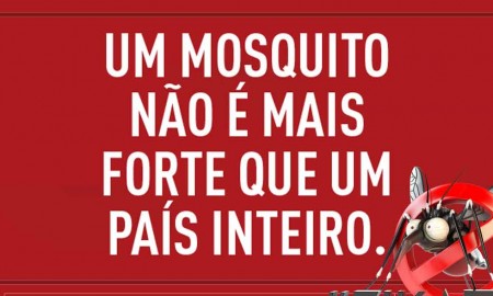 Taubaté tem epidemia de dengue em 2016: 334 casos confirmados