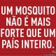 Taubaté tem epidemia de dengue em 2016: 334 casos confirmados
