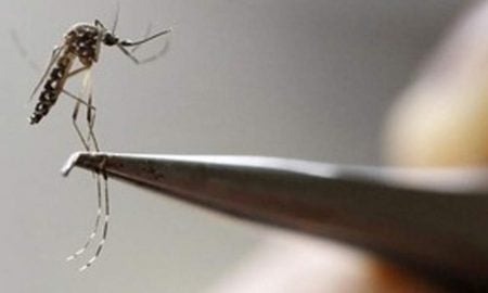 Duas pessoas morrem em Taubaté com suspeita de dengue