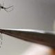 Duas pessoas morrem em Taubaté com suspeita de dengue