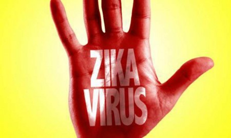 Entenda como o Zika vírus reage no cérebro: pesquisa brasileira