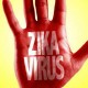 Entenda como o Zika vírus reage no cérebro: pesquisa brasileira