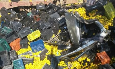 Caminhão carregado com 15 t de laranjas tomba na Dutra em Resende/RJ
