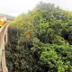 Rapaz é encontrado morto na entrada de Cruzeiro – Ponte Via Dutra