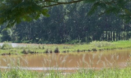 Parque Ecológico do Taboão será inaugurado sábado (14/05)