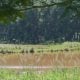 Parque Ecológico do Taboão será inaugurado sábado (14/05)
