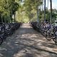 Ciclistas prestam homenagem ao Marcão de 38 anos, empresário de Cruzeiro, que morreu nesta sexta-feira (13/05)