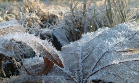 Campos do Jordão registra -1,8°C nesta madrugada; em Cruzeiro 6°C