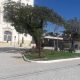 Com a colaboração da comunidade, Praça da Matriz é inaugurada neste domingo