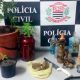 Dise flagra bar que funcionava como ponto de tráfico em Taubaté