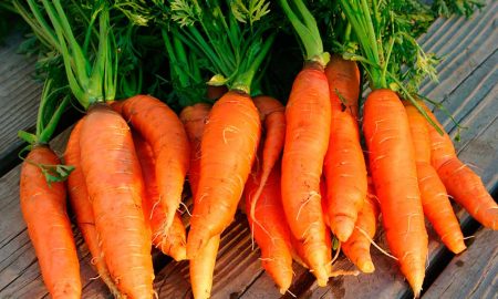 Cenoura e mamão mais baratos na cesta básica alimentar