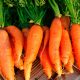 Cenoura e mamão mais baratos na cesta básica alimentar