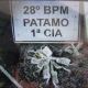 Dois homens são presos por tráfico de drogas em Volta Redonda/RJ; um deles envolvido em homicídio
