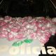 Força Tática prende traficante de 24 anos com 6.659kg de cocaína em Lorena