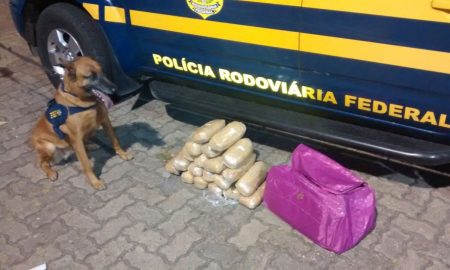 PRF prende jovem de 21 anos com 10 quilos de maconha em Lavrinhas; equivalente a R$ 700 mil