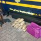 PRF prende jovem de 21 anos com 10 quilos de maconha em Lavrinhas; equivalente a R$ 700 mil