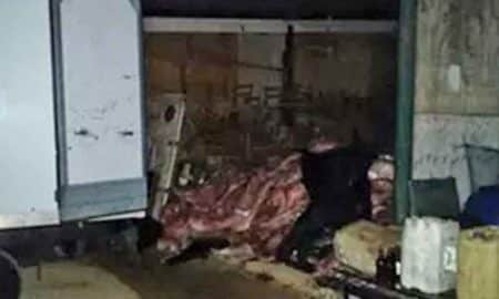 17 toneladas de carne são roubadas em São José dos Campos