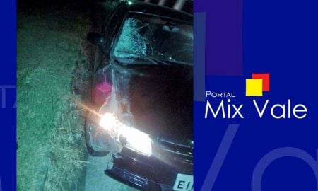 Carro atropela cavalo no KM4 em Cruzeiro; animal morreu