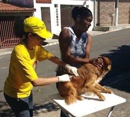 Cruzeiro inicia Campanha de Vacinação Antirrábica