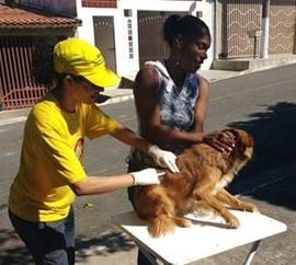 Cruzeiro inicia Campanha de Vacinação Antirrábica