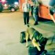 Jovem de 20 anos é flagrado por cão farejador com 7 quilos de maconha em São José dos Campos