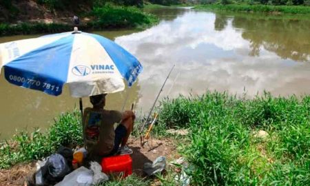 Peixes reaparecem com a melhora da qualidade da água do rio Paraíba do Sul