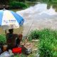 Peixes reaparecem com a melhora da qualidade da água do rio Paraíba do Sul