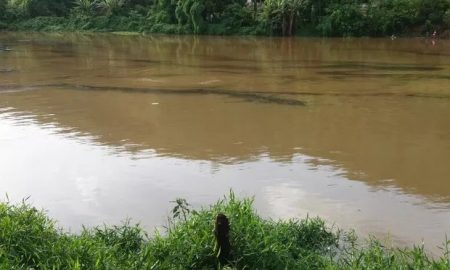 Após chuva forte, mancha escura surge no Rio Paraíba do Sul, em Volta Redonda/RJ