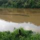 Após chuva forte, mancha escura surge no Rio Paraíba do Sul, em Volta Redonda/RJ