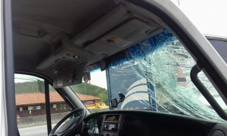 Motorista atropela Urubu na Via Dutra em Queluz e fica nervoso devido as crenças que existem com a ave.