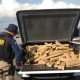 Homem é preso com 292 quilos de maconha na via Dutra em Jacareí