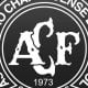 Clubes de futebol e jogadores manifestam solidariedade à Chapecoense; confira mensagens