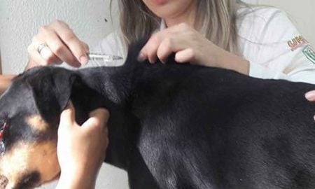 Jovem espanca cachorro com barra de ferro no Embauzinho e revolta população em Cachoeira Paulista