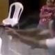 Policial militar de folga mata assaltante de 19 anos durante roubo em Lorena