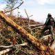 Desmatamento na Amazônia aumenta 29% em 2016
