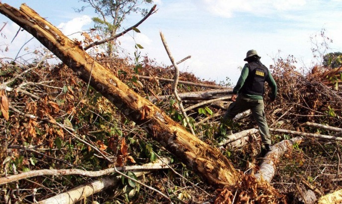 Desmatamento na Amazônia aumenta 29% em 2016
